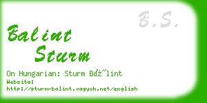 balint sturm business card